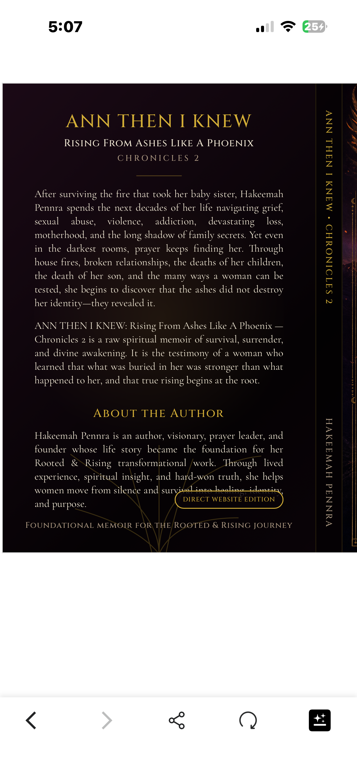 Ann Then I Knew: Rising From Ashes Like A Phoenix — Chronicles 2
